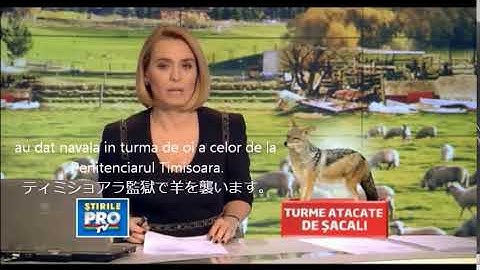 Original Video for DeepFake generated by https://github.com/deepfakes/faceswap