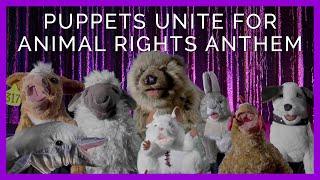 Puppets Take the Mic in Animal Rights Song Puppets Take the Mic in Animal Rights Song