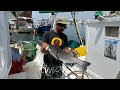 Pesca de robalo,lubinon 6kg🐟🎣🌊😎/fishing bass port Málaga