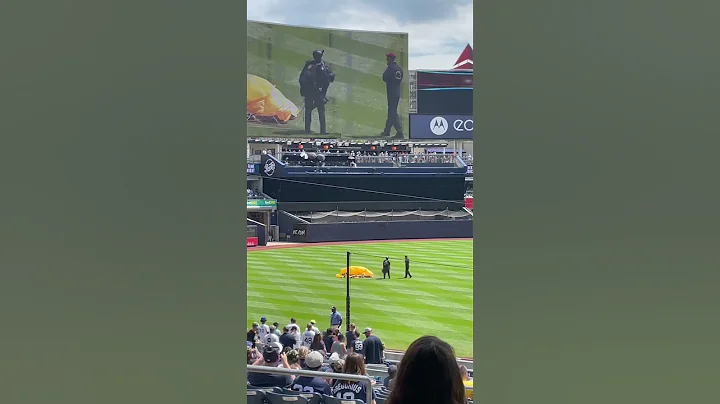 Yankees stadium calls in a parachuter - DayDayNews