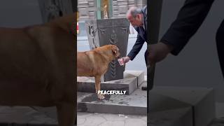 : Thirsty Dog… One Man Helped 🐶💧 #Kindness #StreetDog #Heartwarming