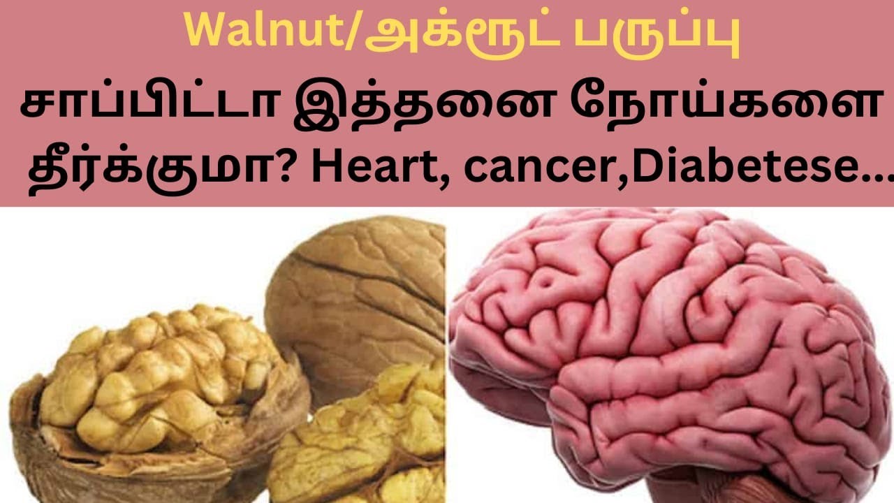 Walnut Health Benefits ஆபத்தான நோய்களை தீர்க்கும் வால்நட்