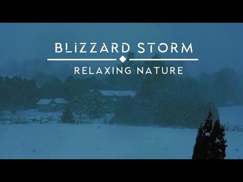 Blizzard Storm Sounds | Relaxing Winter Background Sounds | Heavy Wind ...