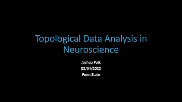Topological Data Analysis in Neuroscience - Lunchtime Colloquium