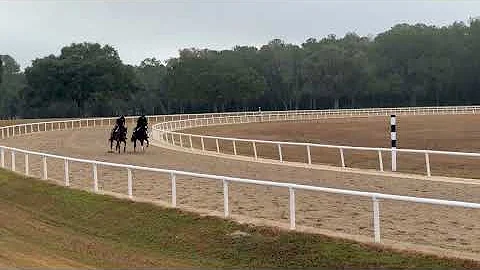 12/5/25 McKinzie/Oscar Performance Yearlings