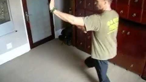 Cheng style Baguazhang, 5th palm change