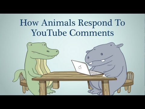 Hippo & Croc: How Animals Respond To YouTube Comments