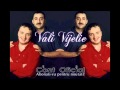 COSTI IONITA &amp; VALI VIJELIE - CE FRUMOASA-I SEARA ASTA (OFFICIAL TRACK)