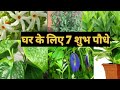 7 पौधो के नाम जो घर के लिये है शुभ Lucky plants..#OrganicGardenIndoorToolFertilizer