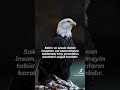 icraat laflar söz sende #icraat