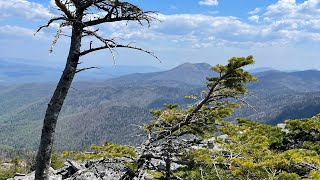 видео: 🏔️Поход на Пидан. Посетили шалаш в тайге. Посмотрели Фотоловушки и удивились. Куча косуль👍🏼 картинка: 🏔️Поход на Пидан. Посетили шалаш в тайге. Посмотрели Фотоловушки и удивились. Куча косуль👍🏼