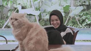 Cerita Bersama Dewi Sandra Buku NKCTHI