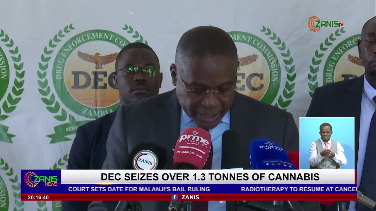 Департамент охраны окружающей среды конфисковал более 1,3 тонны каннабиса.