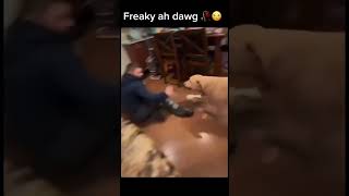 Listen To The Sound  subscribe  funny memes  viral