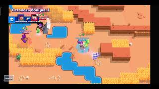 Знаете почему не надо тимиться с Шелли? Узнайте в этом видео