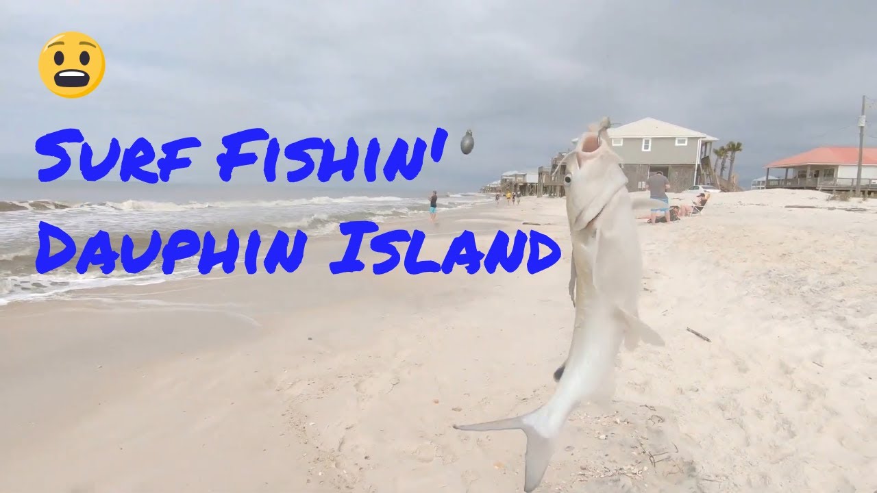 Dauphin Island Fishing. Tons of Saltwater Catfish! Surf Fishing and