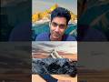 how himalayas were formed ?