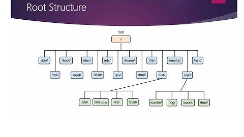 Linux File System & Pentesting Directories: Ultimate Guide for Beginners in Hindi #linux