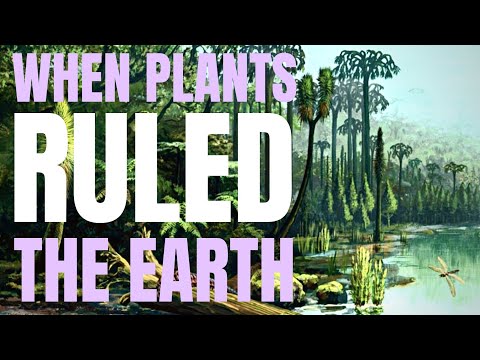When Plants Ruled the Earth ~ with Paleobotanist ALY BAUMGARTNER