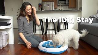 This Ingenious Dog Digging Toy Helps Satisfy Your Dogs Need To Dig