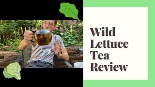 WILD LETTUCE TEA REVIEW 🌱🍃
