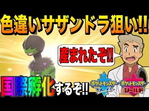 ポケモン剣盾 口の悪いオーキド博士が国際孵化で色違いサザンドラを目指す 3 柊みゅう Youtube