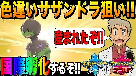 تحميل 国際孵化 Oras
