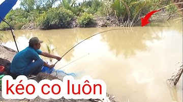 Câu Đài Tự Nhiên, Những Pha Rít Cước Cực phê | Nguyên Vlog #132