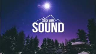 driver - the eye of truth