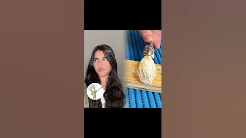 We got those Dabknees 🔥 #dabke #arab #comedy #dance