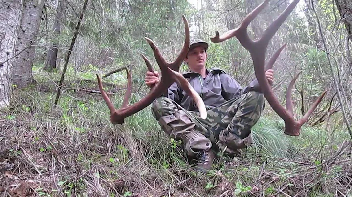 2016 North Idaho Elk Shed Hunting and Spring Bear Hunting (BIG RED SEVEN) Brandon Pitcher