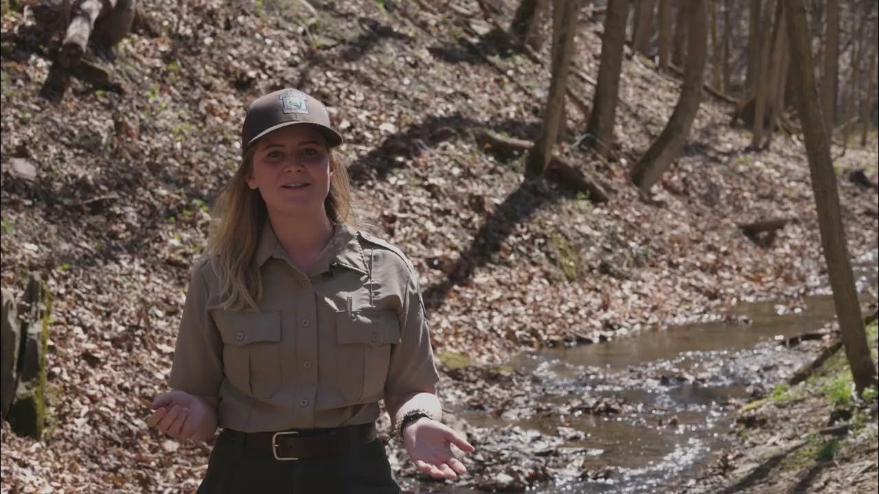 Pennsylvania's State Amphibian: The Eastern Hellbender - YouTube