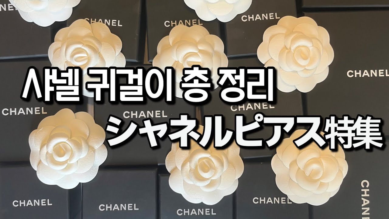 ピアス全部お見せします🙉 샤넬 피어스 모음🙉 箱整理方法✏️박스 정리하는 방법😎