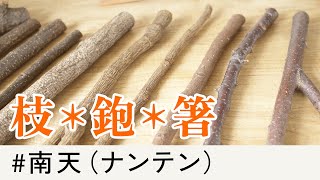 【木のお箸づくり前編】道具と素材編【木工DIY】