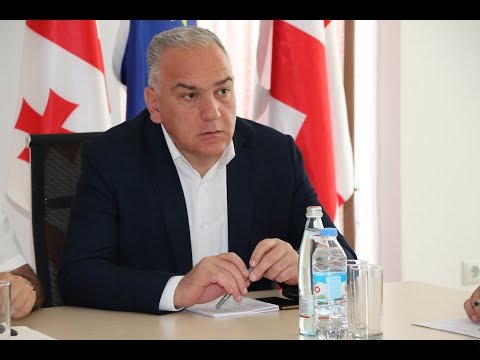 შოთა რეხვიაშვილმა საკონსულტაციო საბჭოს სხდომა გამართა