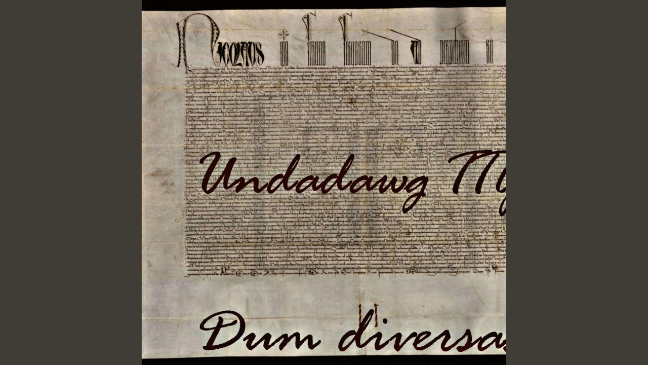 Dum Diversas