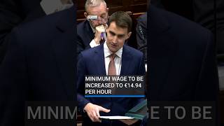 Information Minimum wage to be increased to €14.94 per hour | #RTENews #budget2027 Guide