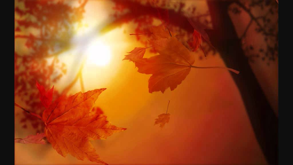 Mori Ahan Jaye, Raag Bilawal, Nivedita Kaur/Singh, Shabad