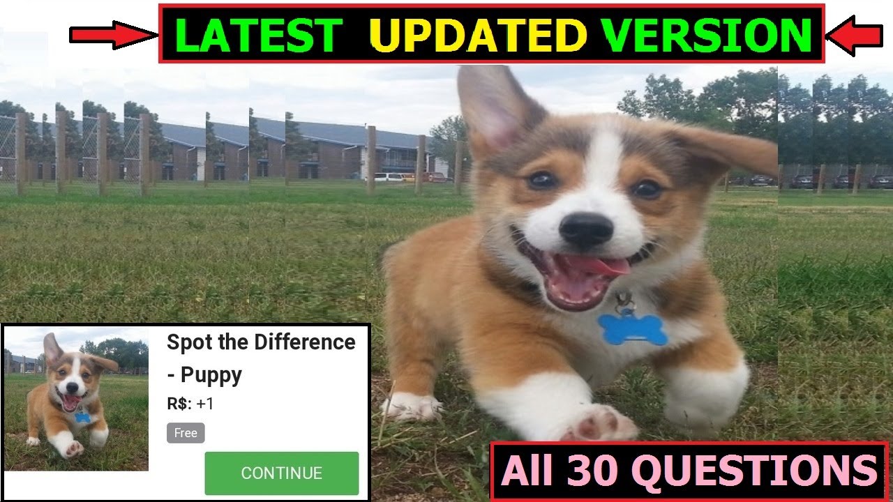 Spot the different dog quiz answers | LATEST UPDATED VERSION | ALL 30