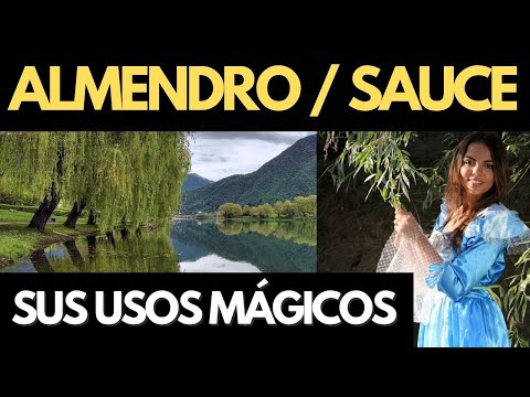 Usos mágicos y curativos del Almendro Prunus y el sauce Salix