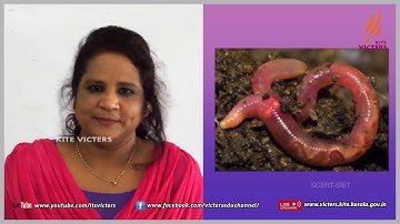 KITE VICTERS Plus two Botany Class 04 (First Bell-ഫസ്റ്റ് ബെല്‍)