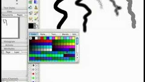 How to Use Photoline Software : Photoline Tutorial: Painting a Canvas