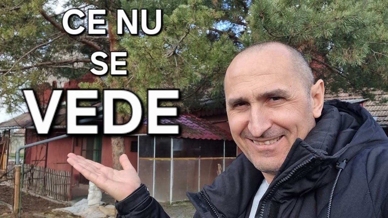 Au scos la vânzare o CASĂ IEFTINĂ ȘI FRUMOASĂ în cea mai căutată zonă din Bătania!Casa are o poveste