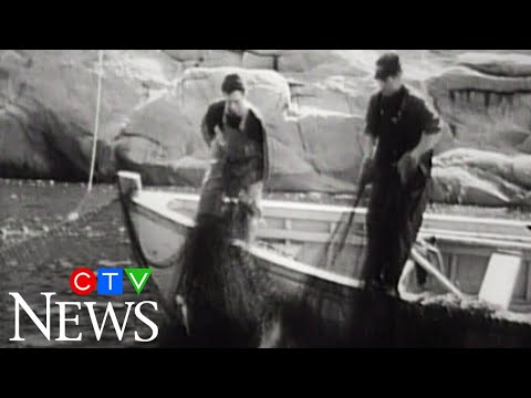 CTV News Archive: 1969 report looks into the  fishing industry in Newfoundland