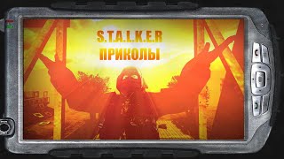 S.T.A.L.K.E.R:МИНИ/ПРИКОЛЫ №13