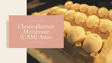 Chorioallantoic Membrane (CAM) Assay: Tools and Techniques | JPTV