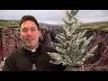 40 Day Pilgrimage to Christmas 🎄- Fr. Mark Goring, CC