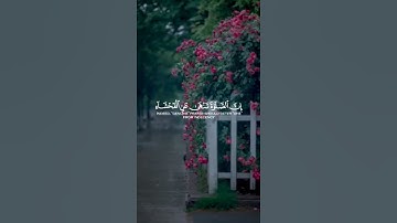 سورة العنكبوت - الآية 45 ( إن الصلاة تنهى عن الفحشاء والمنكر ) - عبد الرحمن مسعد 💖🌿