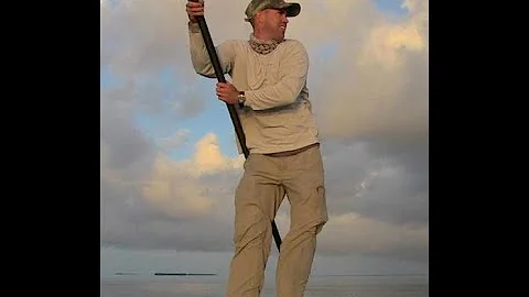 Jason Sullivan - Everglades Fall Patterns