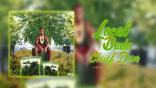 CHiiEF DiiN - LOCAL BUDS - EXPLICIT (CONTROL RIDDIM )